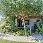 El Descanso Conil 3 Кониль-де-ла-Фронтера